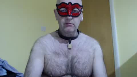 Snapshot of hairyape1 chatting on 10, 5, 2026 Hairy male online show from 10, 5, 2026