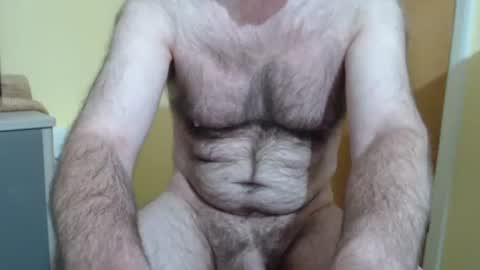Snapshot of hairyape1 chatting on 17, 5, 2026 Hairy male online show from 17, 5, 2026