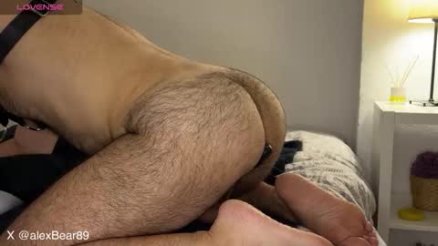 Snapshot of hairyarabbear chatting on 12, 9, 2025 hairyarabbear online show from 12, 9, 2025