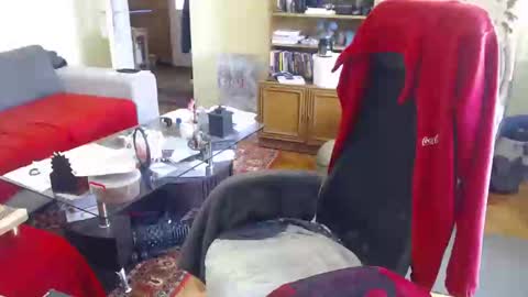 Puppy3 StockyDaddiesmusclebearsbeefybigmans online show from 15, 2, 2025