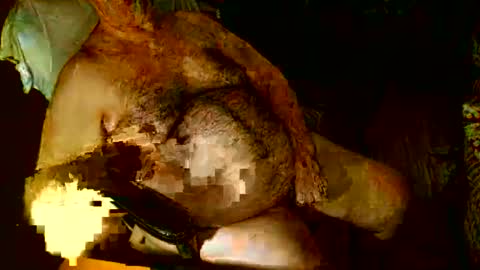 hairybear813 online show from 3, 1, 2025