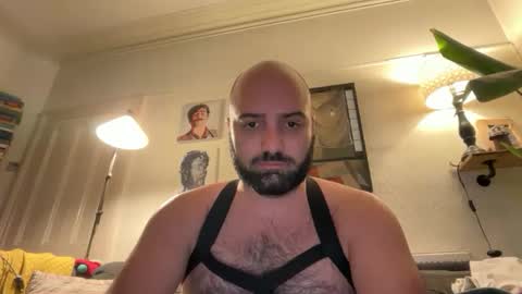 Hairy Guy online show from 16, 2, 2026