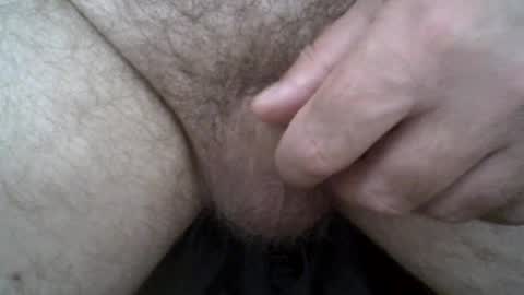 Snapshot of hairyman007 chatting on 29, 6, 2026 hairyman007 online show from 29, 6, 2026