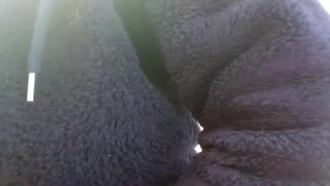 hairypussyxl online show from 13, 1, 2025