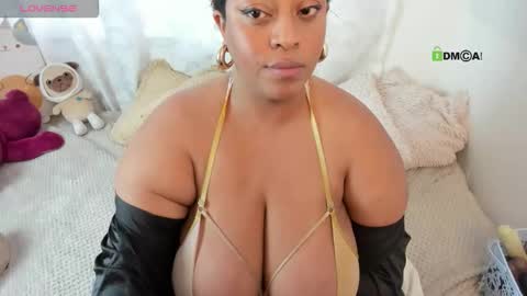 HALLE online show from 8, 1, 2026