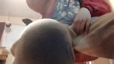 halo3489 online show from 2, 3, 2026