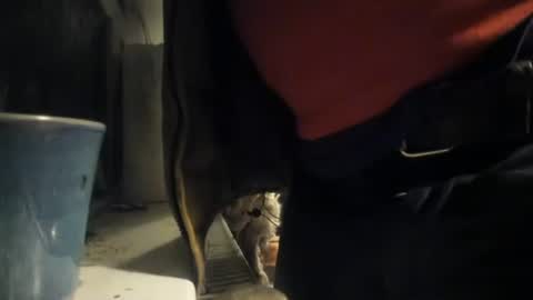 handncocknocum online show from 8, 12, 2024