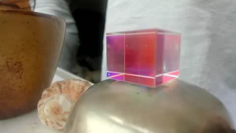 handncocknocum online show from 26, 12, 2024