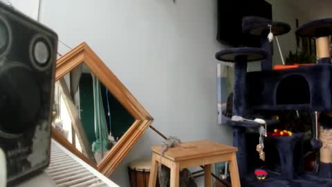 handncocknocum online show from 25, 2, 2025