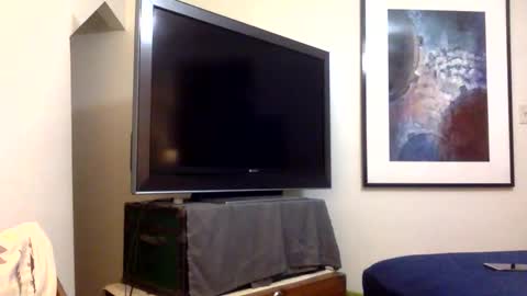 handsome01_ online show from 8, 1, 2026