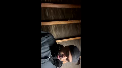 handsomeda1 online show from 19, 1, 2025