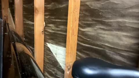 handsomeda1 online show from 1, 2, 2025