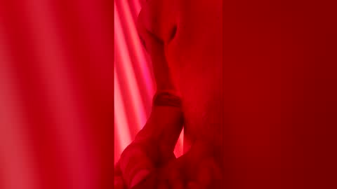 handsomerob42 online show from 6, 4, 2026