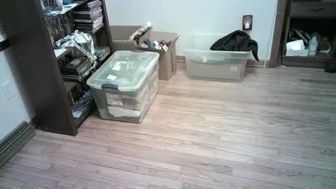 Hardy-Har online show from 6, 1, 2025