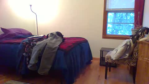 Hardy-Har online show from 1, 12, 2025