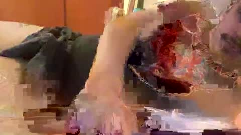 Snapshot of hardcock389397 chatting on 27, 2, 2026 hardcock389397 online show from 27, 2, 2026