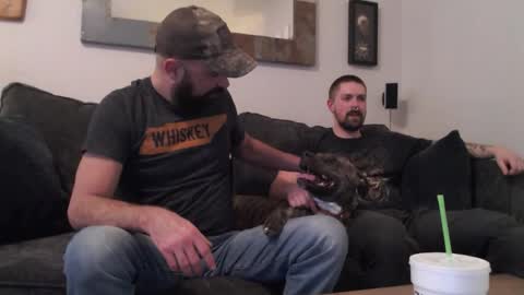 Snapshot of hardworkertn chatting on 6, 4, 2026 hardworkertn online show from 6, 4, 2026