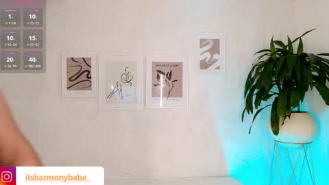 Harmony online show from 8, 11, 2025