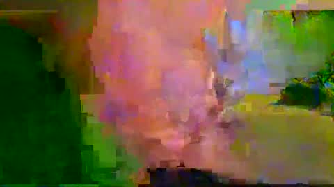 harryhavana online show from 12, 2, 2025