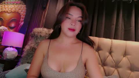 HAYFA online show from 6, 3, 2026