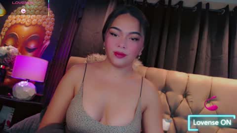 HAYFA online show from 3, 4, 2026