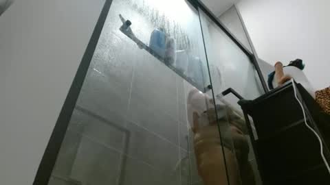 Hazel online show from 2, 11, 2025