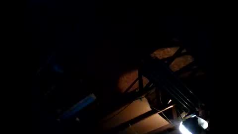 hbdj2164 online show from 26, 11, 2025