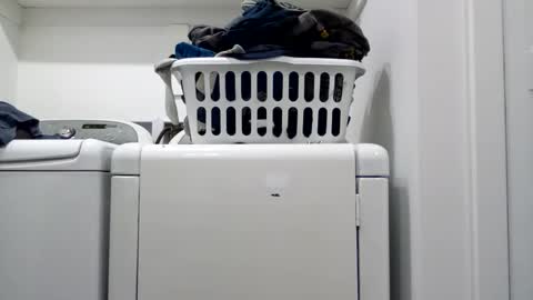 hdrsh08 online show from 15, 4, 2026