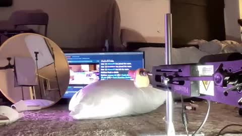 LockedThug online show from 15, 12, 2025