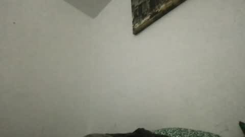 Snapshot of heff919 chatting on 20, 6, 2026 Thisisheff online show from 20, 6, 2026