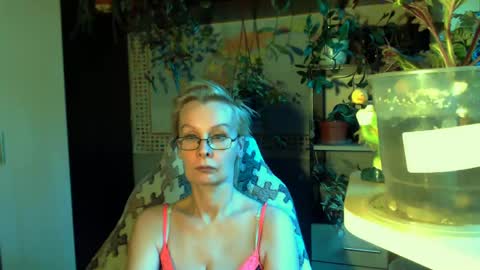 Helga online show from 8, 5, 2026