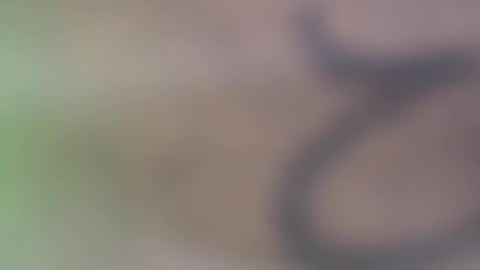 hellohowareyou66 online show from 29, 11, 2025