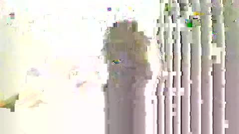 Snapshot of helloimhunny chatting on 7, 1, 2026 Hunnys Hive online show from 7, 1, 2026