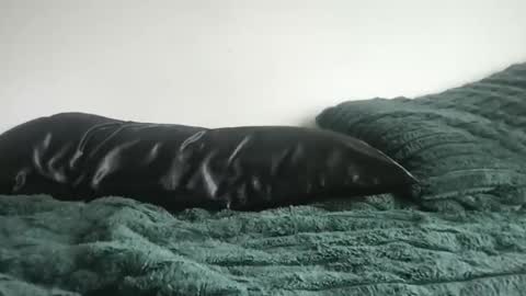 DrixxTheGod online show from 5, 4, 2026