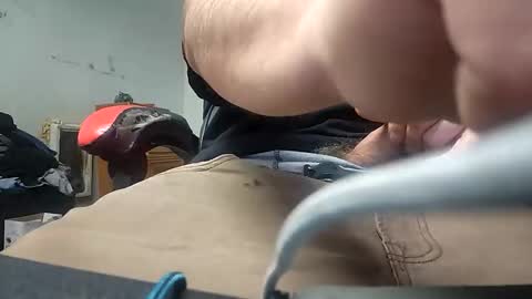 herletigre12345 online show from 11, 3, 2026