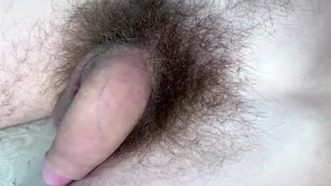 Arnold online show from 29, 1, 2025