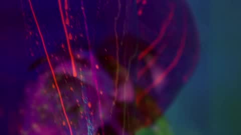 Alina online show from 14, 1, 2026