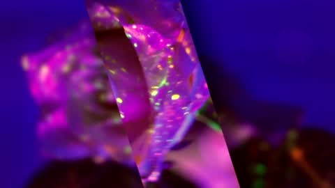 Alina online show from 15, 3, 2026