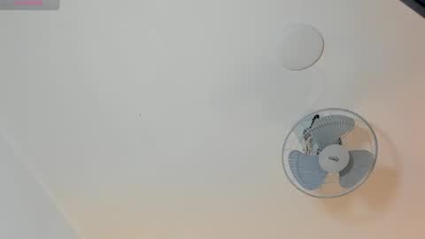 hilary_tailor online show from 19, 1, 2026