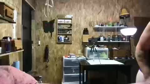 Snapshot of hippostixs chatting on 13, 10, 2025 Krush Vibrations online show from 13, 10, 2025