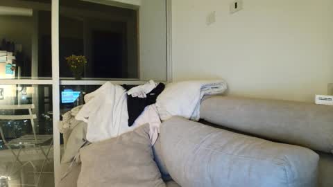 hollyshit_ online show from 20, 9, 2025