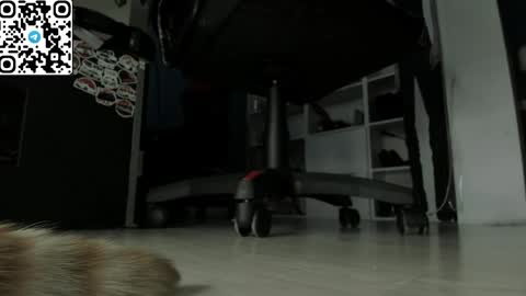 holy_mistresss online show from 19, 4, 2026