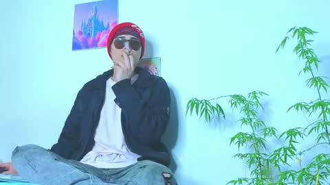      online show from 12, 3, 2026