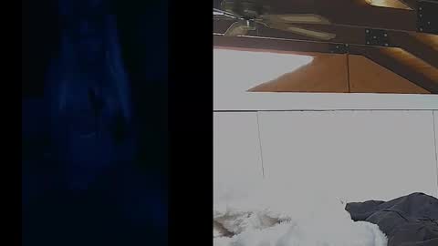 honeybuhnny online show from 4, 4, 2026