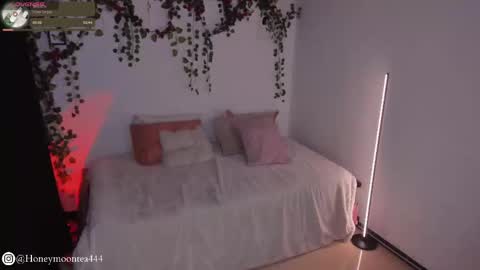 Snapshot of honeymoontea chatting on 24, 2, 2025 online show from 24, 2, 2025