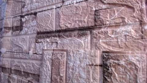 Victoria online show from 2, 3, 2026