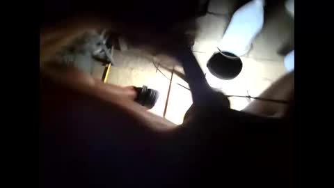 hongdong online show from 15, 11, 2025