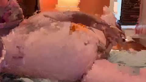 Snapshot of horndawglove chatting on 6, 1, 2025 horndawglove online show from 6, 1, 2025