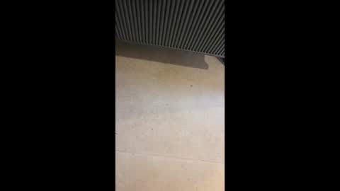 horny4more691 online show from 10, 3, 2026