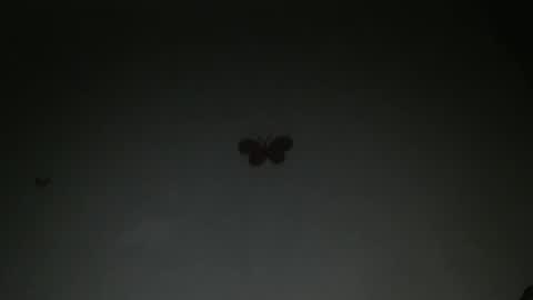 Snapshot of horny_iris chatting on 27, 2, 2026 Iris online show from 27, 2, 2026